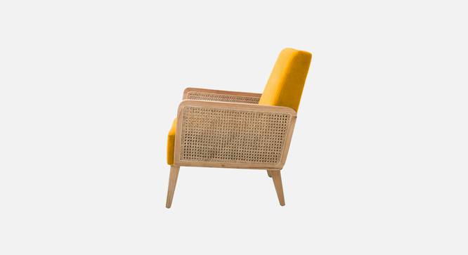 Evant Ratan Accent Chair in Green Colour (Yellow) by Urban Ladder - - 