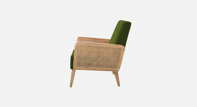 Evant Ratan Accent Chair in Green Colour (Mint Green) by Urban Ladder - - 