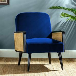 Haden Accent Chair in Navy Blue Colour-image-10