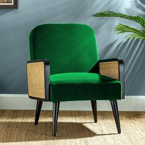 Haden Accent Chair in Green Colour-image-16
