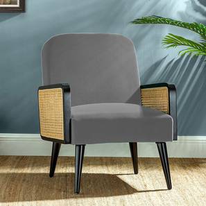 Haden Accent Chair in Grey Colour-image-23