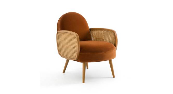 Holden Cane Accent Chair in Pink Colour (Brown) by Urban Ladder - - 