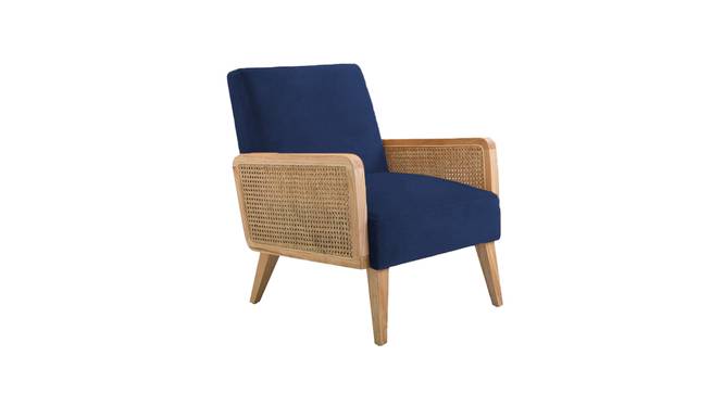 Evant Ratan Accent Chair in Green Colour (Navy Blue) by Urban Ladder - - 