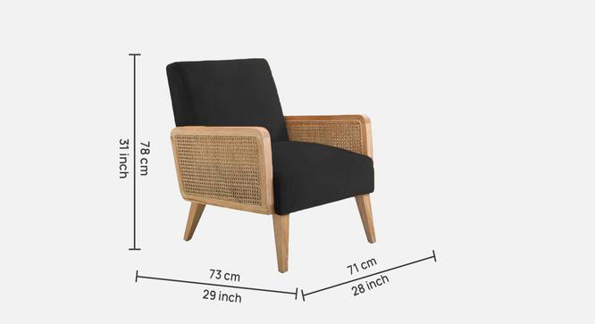 Evant Ratan Accent Chair in Green Colour (Black) by Urban Ladder - - 