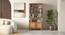 Takai Solid Wood and Cane Bookshelf Table In Red Cedar Finish (Red Cedar Finish) by Urban Ladder - - 