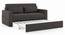 Camden Sofa Cum Bed (Smoke Grey) by Urban Ladder - - 