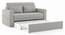 Camden Compact Sofa Cum Bed (Vapour Grey) by Urban Ladder - - 1019952