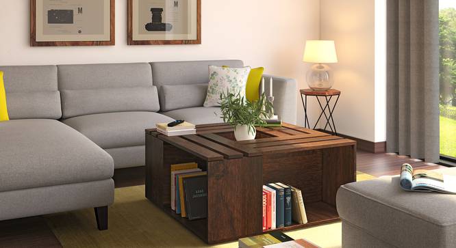 Penland Coffee Table (Walnut Finish) by Urban Ladder - Full View Design 1 - 117502