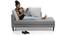 Sigmund Day Bed (Cloud Burst Grey , Right Aligned) by Urban Ladder - Half View Design 1 - 118252