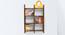 Tic-Tac Wall Rack (Walnut Finish) by Urban Ladder - Half View Design 1 - 118997