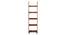 Austen Bookshelf/Display Unit (45-book capacity) (Teak Finish) by Urban Ladder - Design 1 Cover Image - 135184