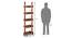 Austen Bookshelf/Display Unit (45-book capacity) (Teak Finish) by Urban Ladder - Design 1 Flyer - 135188