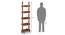 Austen Bookshelf/Display Unit (45-book capacity) (Teak Finish) by Urban Ladder - Design 1 Flyer - 135188