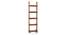 Austen Bookshelf/Display Unit (45-book capacity) (Teak Finish) by Urban Ladder - Design 1 Cover Image - 135191