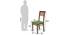 Arabia XXL - Zella 8 Seater Dining Table Set (Teak Finish, Avocado Green) by Urban Ladder - Design 2 Template - 136367