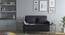 Makati Sofa Cum Bed (Dark Grey) by Urban Ladder - Full View Design 1 - 140239