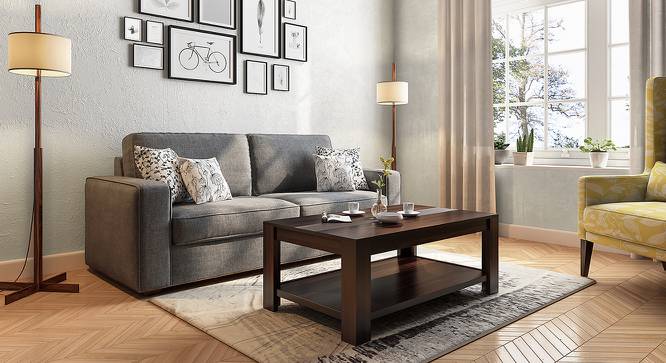 Striado Coffee Table (Mahogany Finish, With Shelves Configuration) by Urban Ladder - Design 1 Full View - 149538