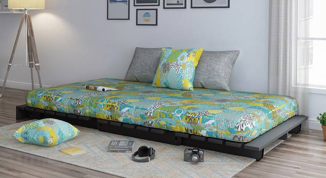 Finn Futon Sofa Cum Bed - Urban Ladder