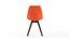 Pashe Chair (Rust) by Urban Ladder - Design 1 Close View - 152990