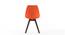 Pashe Chair (Rust) by Urban Ladder - Design 1 Close View - 152990