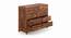 Magellan Chest Of Eight Drawers (Teak Finish) by Urban Ladder - Cross View Design 1 - 153531