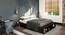 Toshi Platform Storage Bed (Queen Bed Size, Dark Walnut Finish) by Urban Ladder - Design 1 Full View - 155887