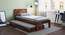 Boston Single Bed (Solid Wood) (Teak Finish, With Trundle) by Urban Ladder - Design 1 Full View - 158575