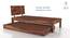 Boston Single Bed (Solid Wood) (Teak Finish, With Trundle) by Urban Ladder - Banner 1 Design 1 - 158586