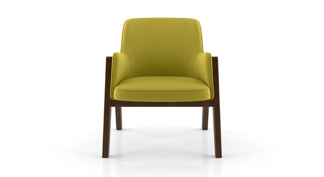 Carven Lounge Chair (Green) by Urban Ladder - Front View Design 1 - 162597