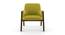 Carven Lounge Chair (Green) by Urban Ladder - Front View Design 1 - 162597