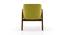 Carven Lounge Chair (Green) by Urban Ladder - Rear View Design 1 - 162600