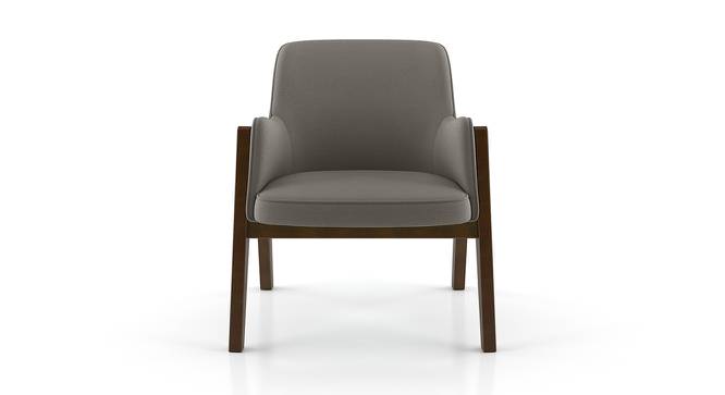 Carven Lounge Chair (Dark Grey) by Urban Ladder - Front View Design 1 - 162606