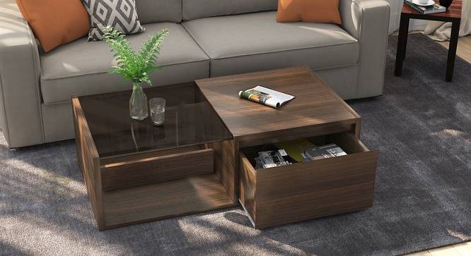 Alita Storage Coffee Table Urban Ladder Alita Storage Coffee Table