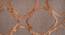 Timur Hand Tufted Carpet by Urban Ladder - Design 1 Top View - 169393