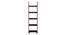 Austen Bookshelf/Display Unit (45-book capacity) (Mahogany Finish) by Urban Ladder - Front View Design 1 - 186932