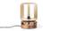 Harare Table Lamp (Light Brown Base Finish, Dark Tint Shade Colour) by Urban Ladder - Front View Design 1 - 189213