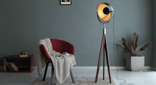 Winnipeg Floor Lamp by Urban Ladder - Design 1 Full View - 203346