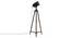 Barbara Floor Lamp (Black Base Finish) by Urban Ladder - Front View Design 1 - 203821