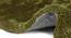Linton Shaggy Rug (91 x 152 cm  (36" x 60") Carpet Size, Olive Green) by Urban Ladder - Design 1 Close View - 209107