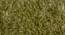 Linton Shaggy Rug (152 x 244 cm  (60" x 96") Carpet Size, Olive Green) by Urban Ladder - Front View Design 1 - 209116