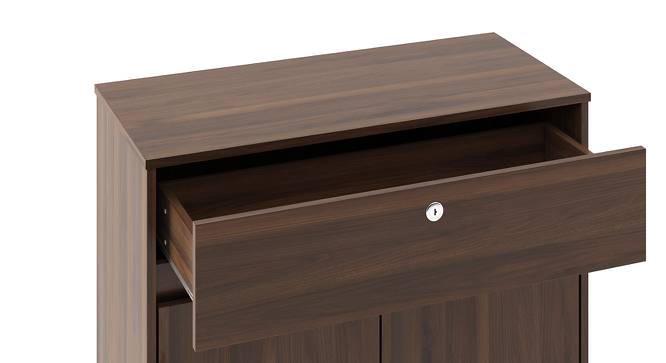 Webster shoe outlet cabinet with lock