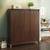 Webster shoe cabinet with lock walnut finish 32 pair capacity lp