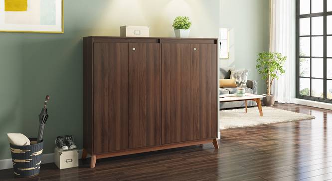 Webster Shoe Cabinet With Lock (Walnut Finish, 48 Pair Capacity) by Urban Ladder - Design 1 Full View - 210280