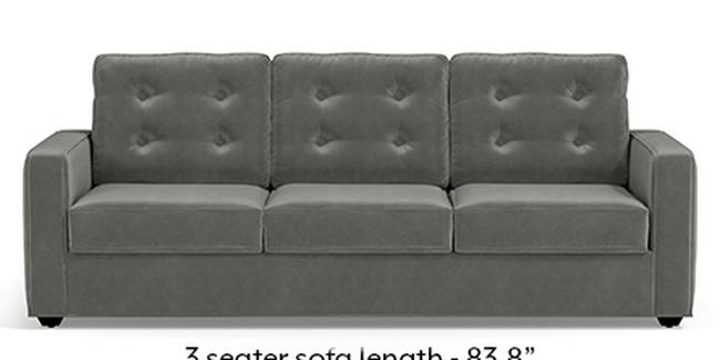 Apollo Sofa Set (Fabric Sofa Material, Regular Sofa Size, Soft Cushion Type, Regular Sofa Type, Master Sofa Component, Ash Grey Velvet, Tufted Back Type, Regular Back Height)