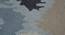 Riga Carpet (152 x 244 cm  (60" x 96") Carpet Size, Multi Colour) by Urban Ladder - Design 1 Close View - 219562