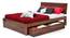 Valencia Storage Bed (Solid Wood) (Teak Finish, Queen Bed Size, Drawer Storage Type) by Urban Ladder - Front View Design 1 - 219577