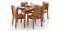 Catria - Oribi 4 Seater Dining Table Set (Teak Finish, Burnt Orange) by Urban Ladder - Design 1 Half View - 232485