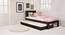 Merritt Trundle Bed (Mahogany Finish, Single Bed Size) by Urban Ladder - Design 1 Half View - 235577