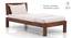 Yorktown Single Bed (Teak Finish, Without Trundle) by Urban Ladder - Design 1 Cross View Details - 237350