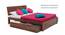 Boston Storage Bed (Solid Wood) (Teak Finish, Queen Bed Size, Drawer Storage Type) by Urban Ladder - Design 1 Semi Side View - 237748